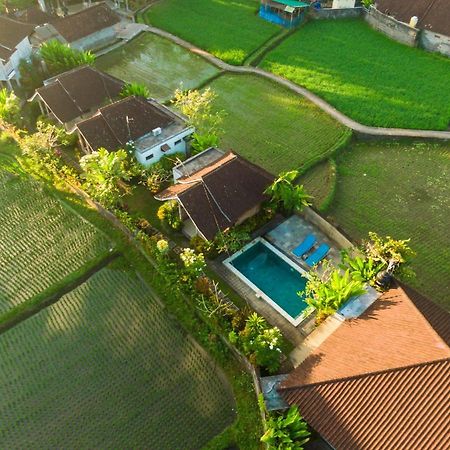 Ubud Glassy Villa By Pramana Villas מראה חיצוני תמונה