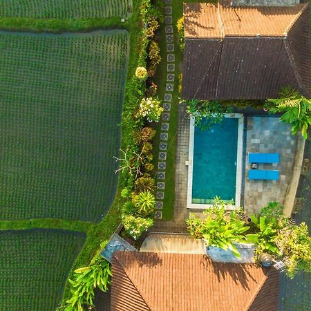 Ubud Glassy Villa By Pramana Villas מראה חיצוני תמונה