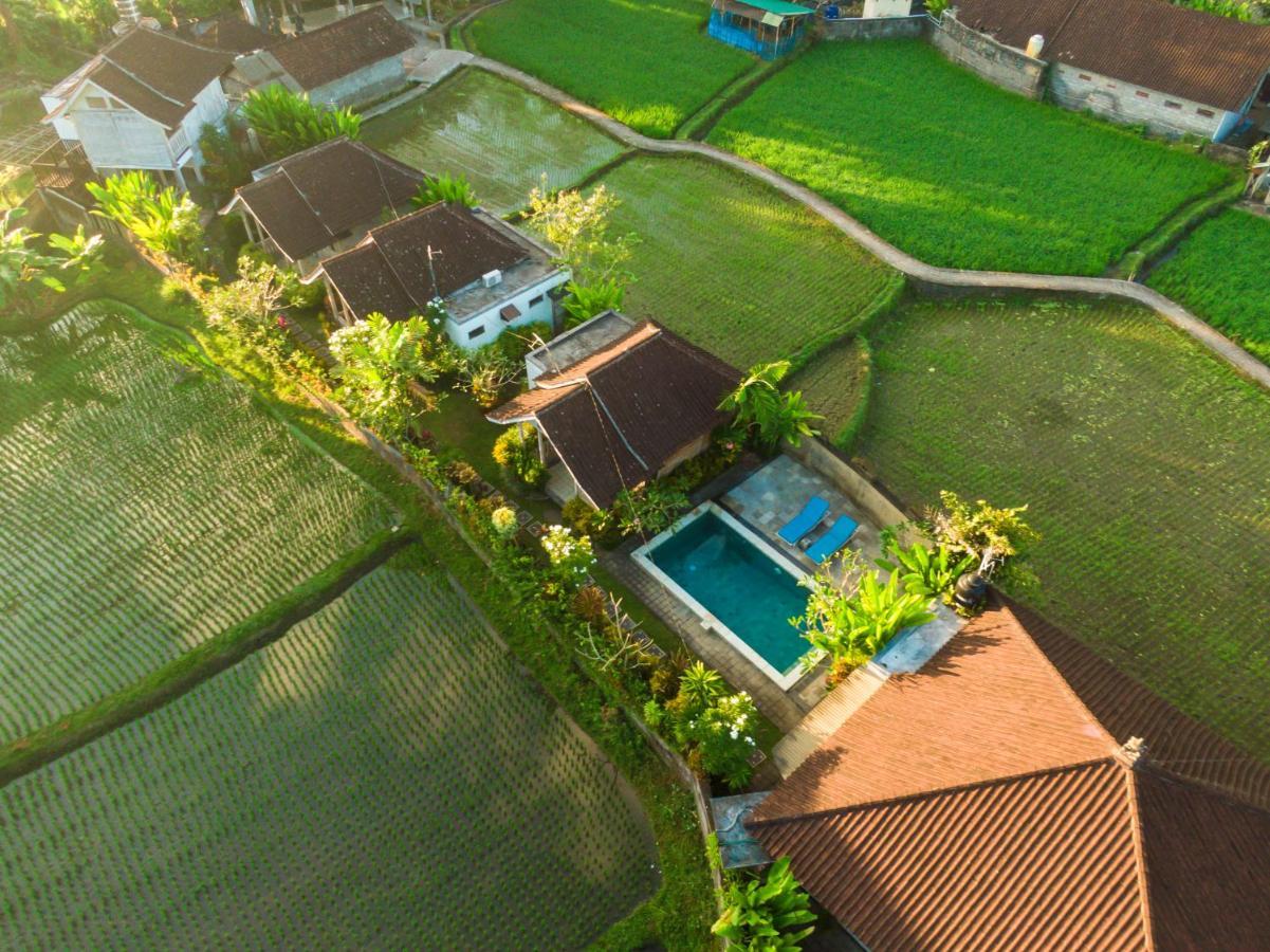 Ubud Glassy Villa By Pramana Villas מראה חיצוני תמונה