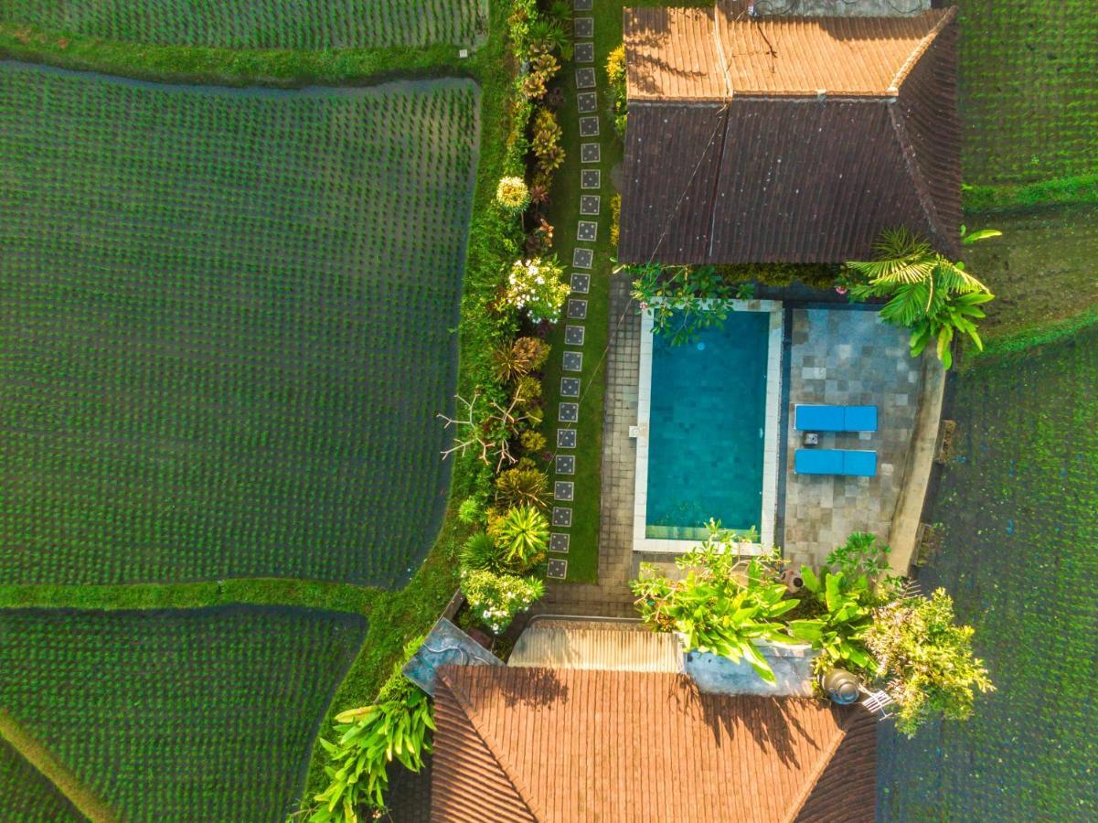 Ubud Glassy Villa By Pramana Villas מראה חיצוני תמונה